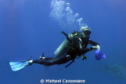 Capturing the Rogue Lionfish.
With the apparent prolifer... by Michael Canzoniero 